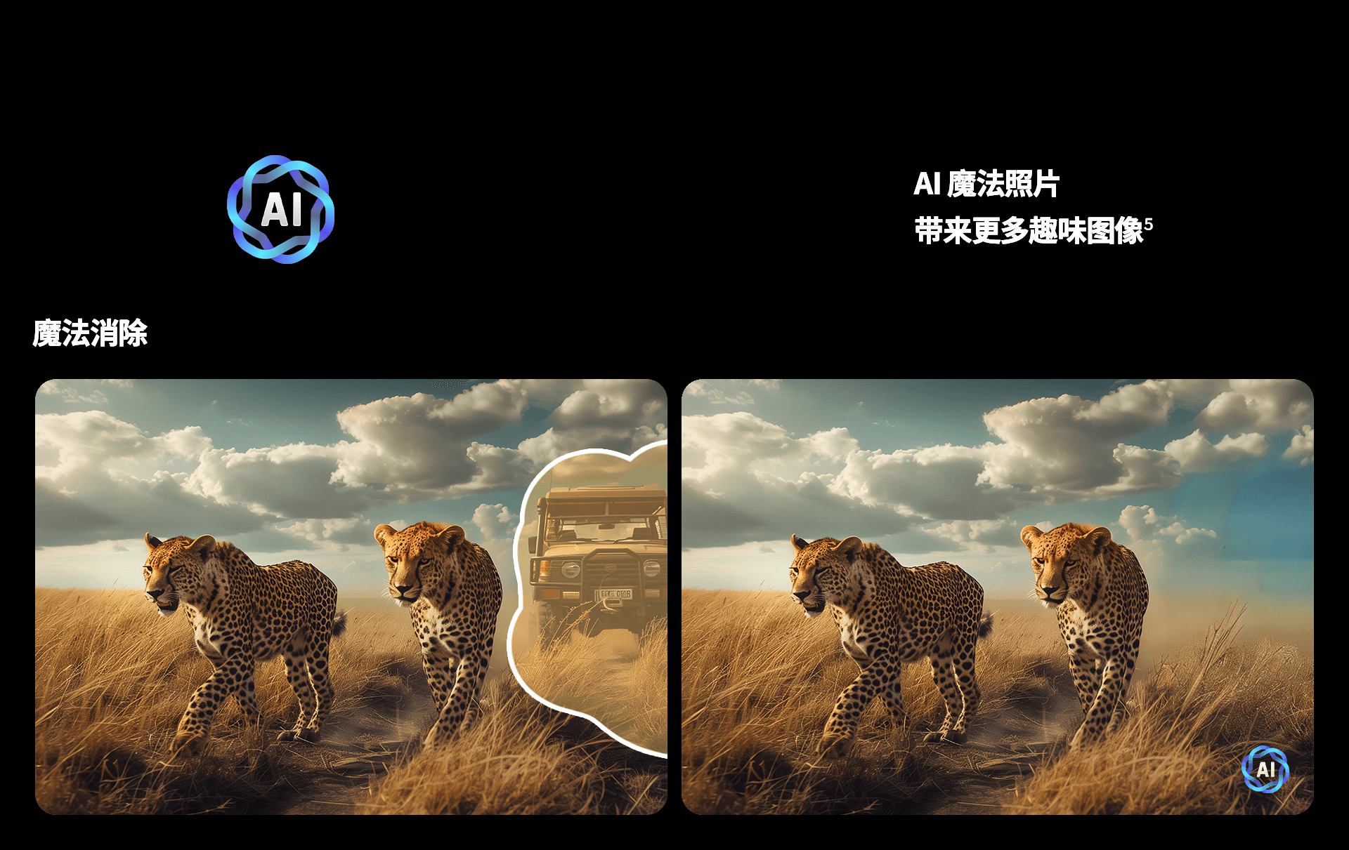 15中文.jpg